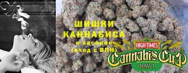 соль ск Белокуриха