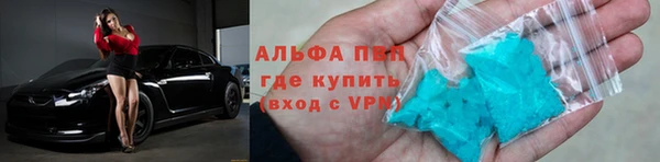 соль ск Сосновоборск