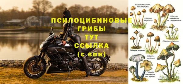 2c-b Беломорск