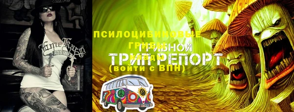 2c-b Беломорск