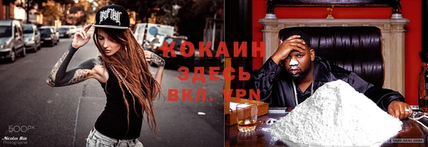 соль ск Белокуриха