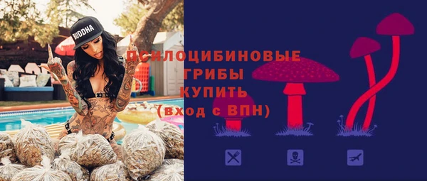 2c-b Беломорск