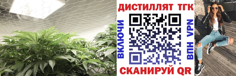 Дистиллят ТГК вейп с тгк как найти наркотики Михайлов